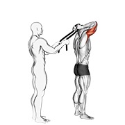 Asistido de pie triceps extensión (with towel)