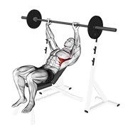 Inclinado shoulder elevación con barra