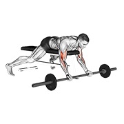 Tumbado preacher curl con barra