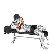 Tumbado triceps extensión skull crusher con barra