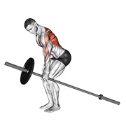 One arm bent over remo con barra