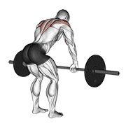 Posterior delt remo con barra