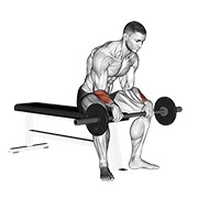 Revers wrist curl v. 2 con barra