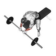 Inverso wrist curl con barra