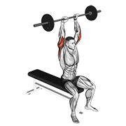 Sentado sobre la cabeza triceps extensión con barra