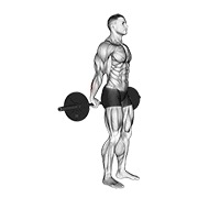De pie back wrist curl con barra