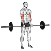 De pie close grip curl con barra