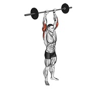 De pie sobre la cabeza triceps extensión con barra