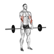 De pie inverso grip curl con barra