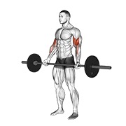 De pie wide-grip curl con barra