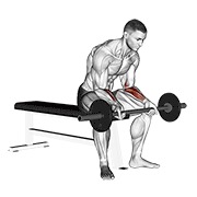 Wrist curl v. 2 con barra