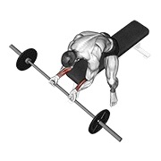 Wrist curl con barra