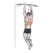 Biceps dominada