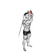 Alternate triceps extensión en polea