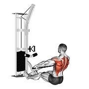 Floor sentado wide-grip remo en polea