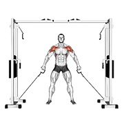 Frontal shoulder elevación en polea