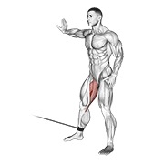 Hip adduction en polea