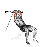 Inclinado triceps extensión en polea