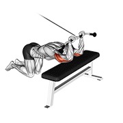 Kneeling triceps extensión en polea