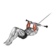 Tumbado triceps extensión v. 2 en polea