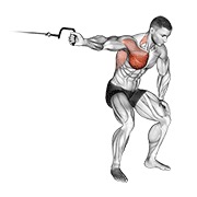 One arm lateral bent-over en polea