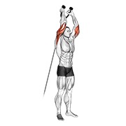 Sobre la cabeza triceps extensión (rope attachment) en polea