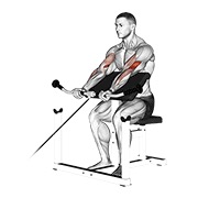 Preacher curl en polea