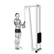 Pushdown (with rope attachment) en polea