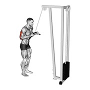 Pushdown en polea