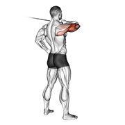 Posterior drive en polea