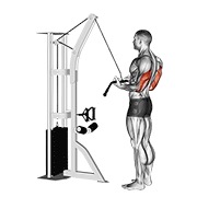 Reverse-grip pushdown en polea