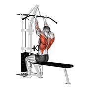 Reverse-grip straight back sentado high remo en polea