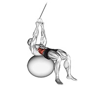 Russian twists (on stability ball) en polea