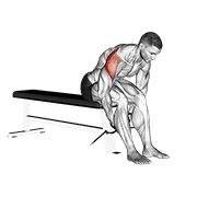 Sentado posterior elevación lateral en polea