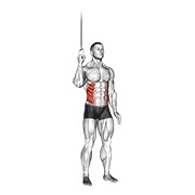 Side crunch en polea