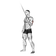 De pie one arm triceps extensión en polea