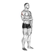 De pie shoulder external rotation en polea