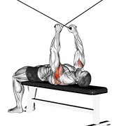 Supine inverso aperturas en polea