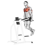 Chest fondo