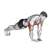 Diamond flexión