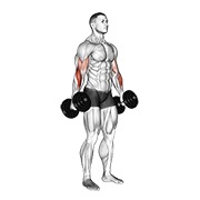 Hammer curl v. 2 con mancuerna