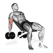 Inclinado curl de bíceps con mancuerna
