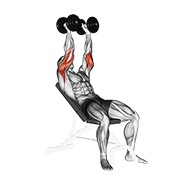 Inclinado triceps extensión con mancuerna