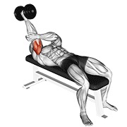 Tumbado one arm supinated triceps extensión con mancuerna