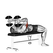 Tumbado triceps extensión con mancuerna