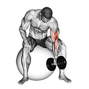 One arm concentration curl (on stability ball) con mancuerna