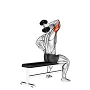 One arm triceps extensión (on bench) con mancuerna