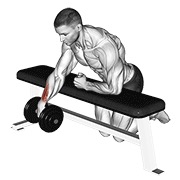 Over bench one arm wrist curl con mancuerna