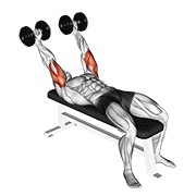 Pronate-grip triceps extensión con mancuerna