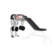 Posterior elevación lateral (support head) con mancuerna